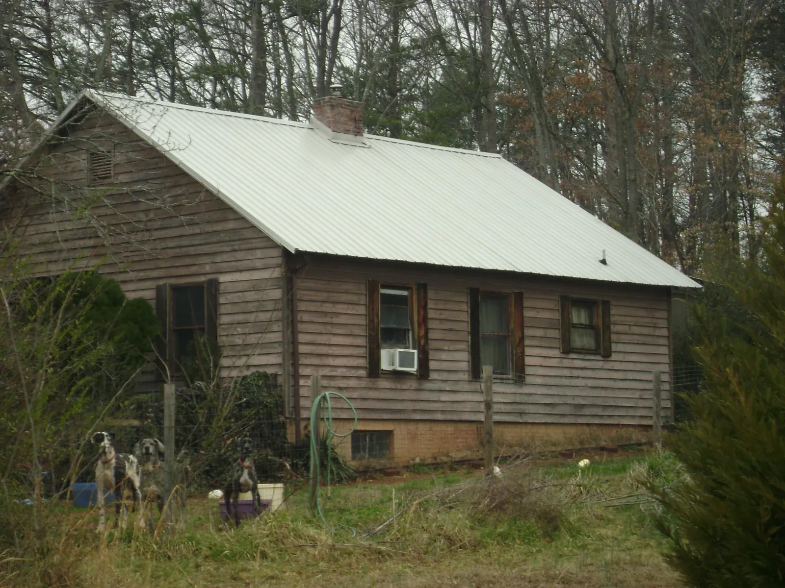 White metal roof on an old wood sided farmhouse, from a Asphalt Shingle Roof Repair job in Cocoa